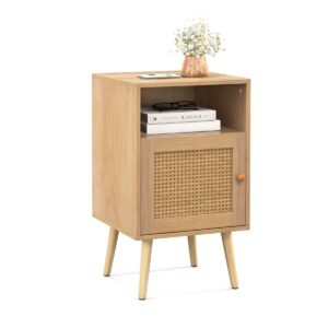 Rattan Nightstand with Storage and PE Rattan Decorated Door-Natural