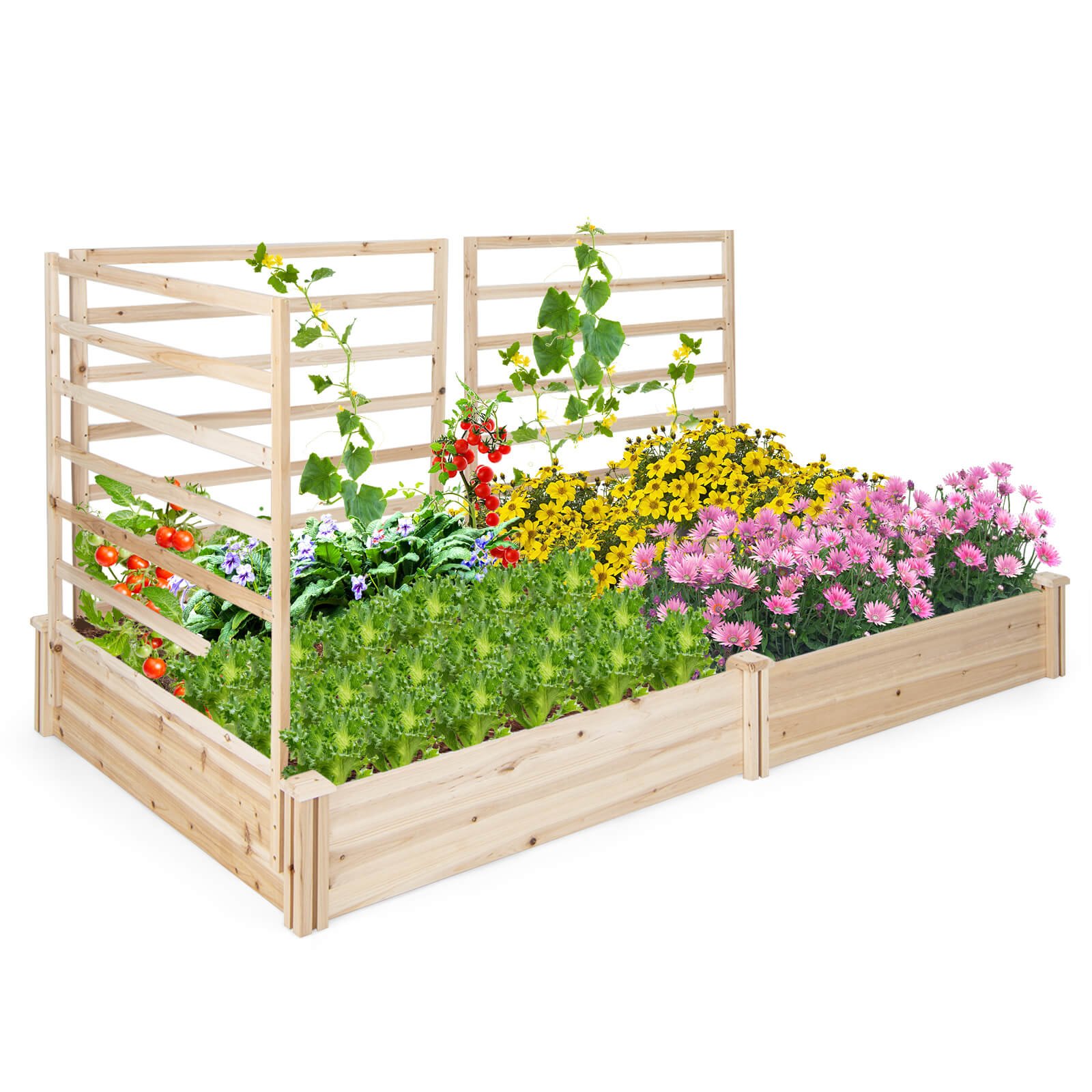 Raised Garden Bed with 3 Trellis and 2 Planter Boxes-Natural